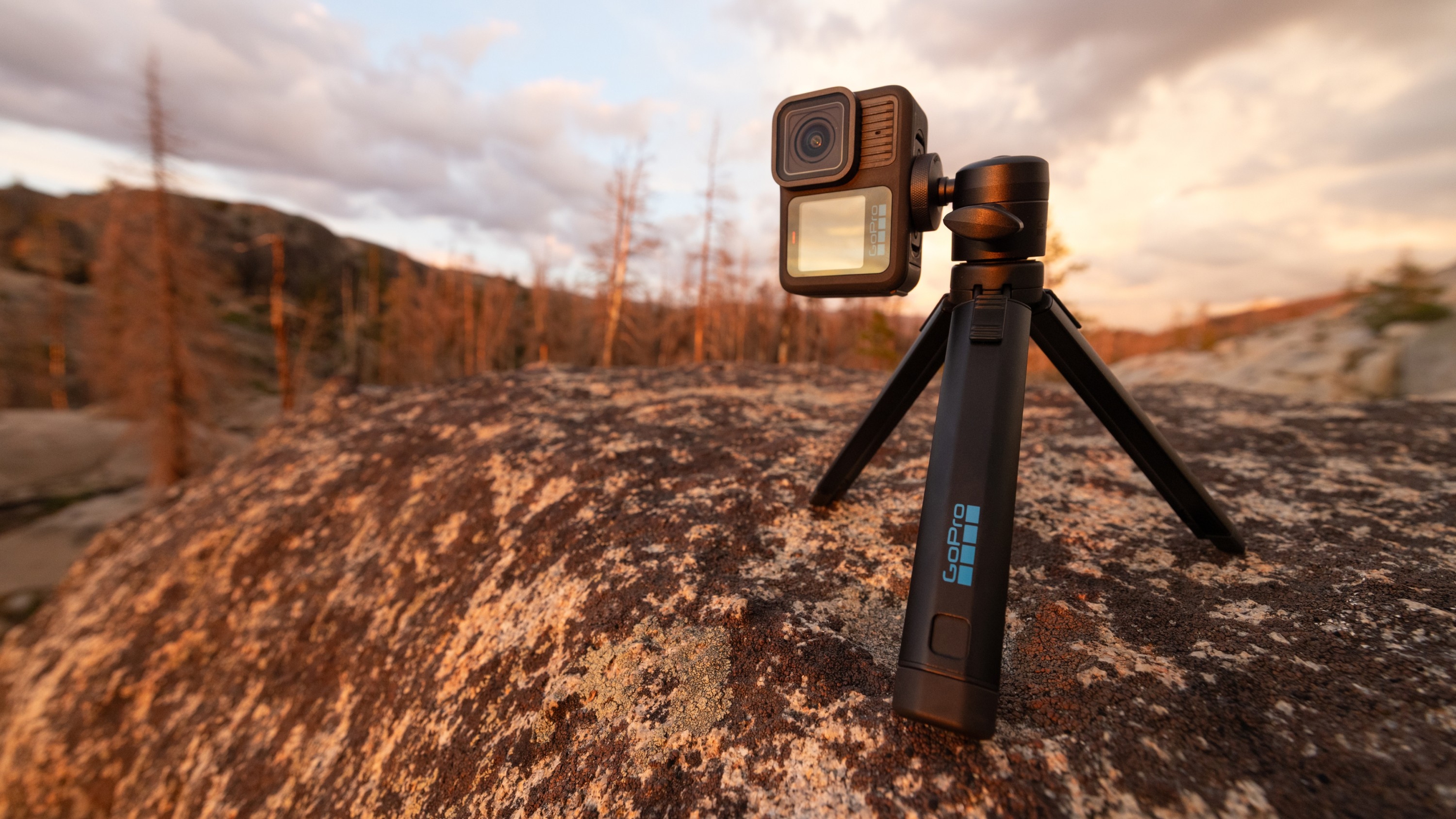 Tripod + Ballhead