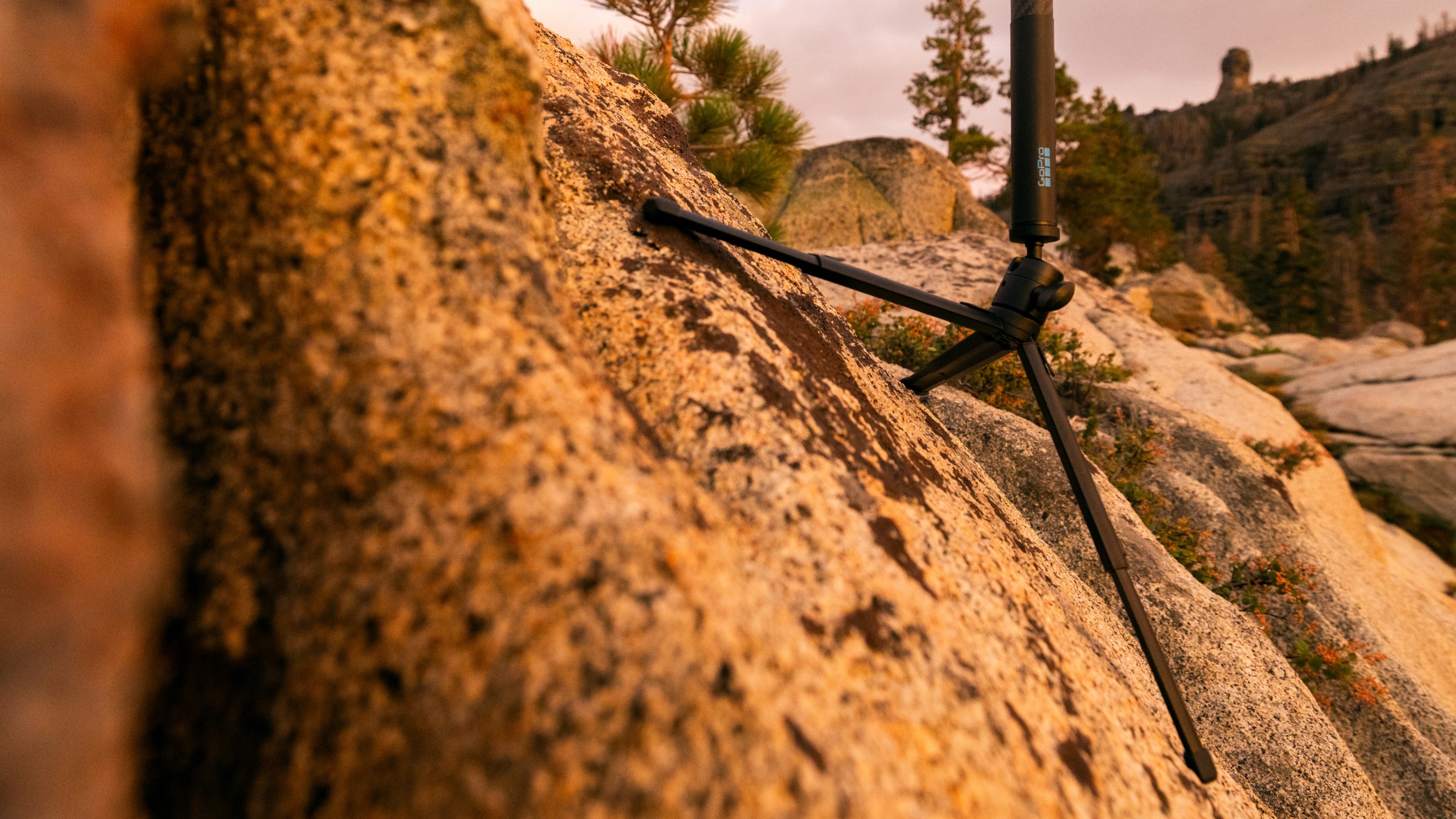 Tripod + Ballhead